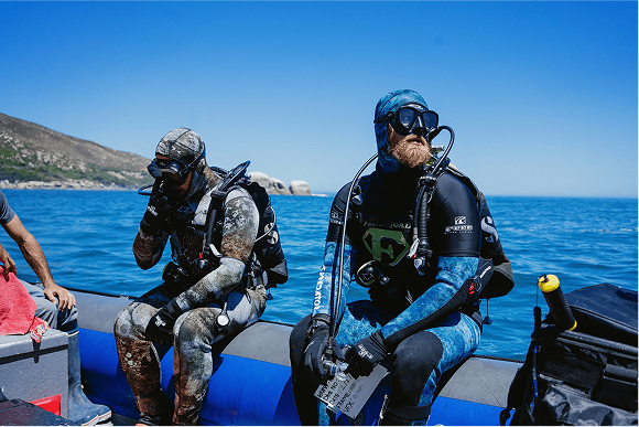 Parasol Island - Integrated Digital Studio