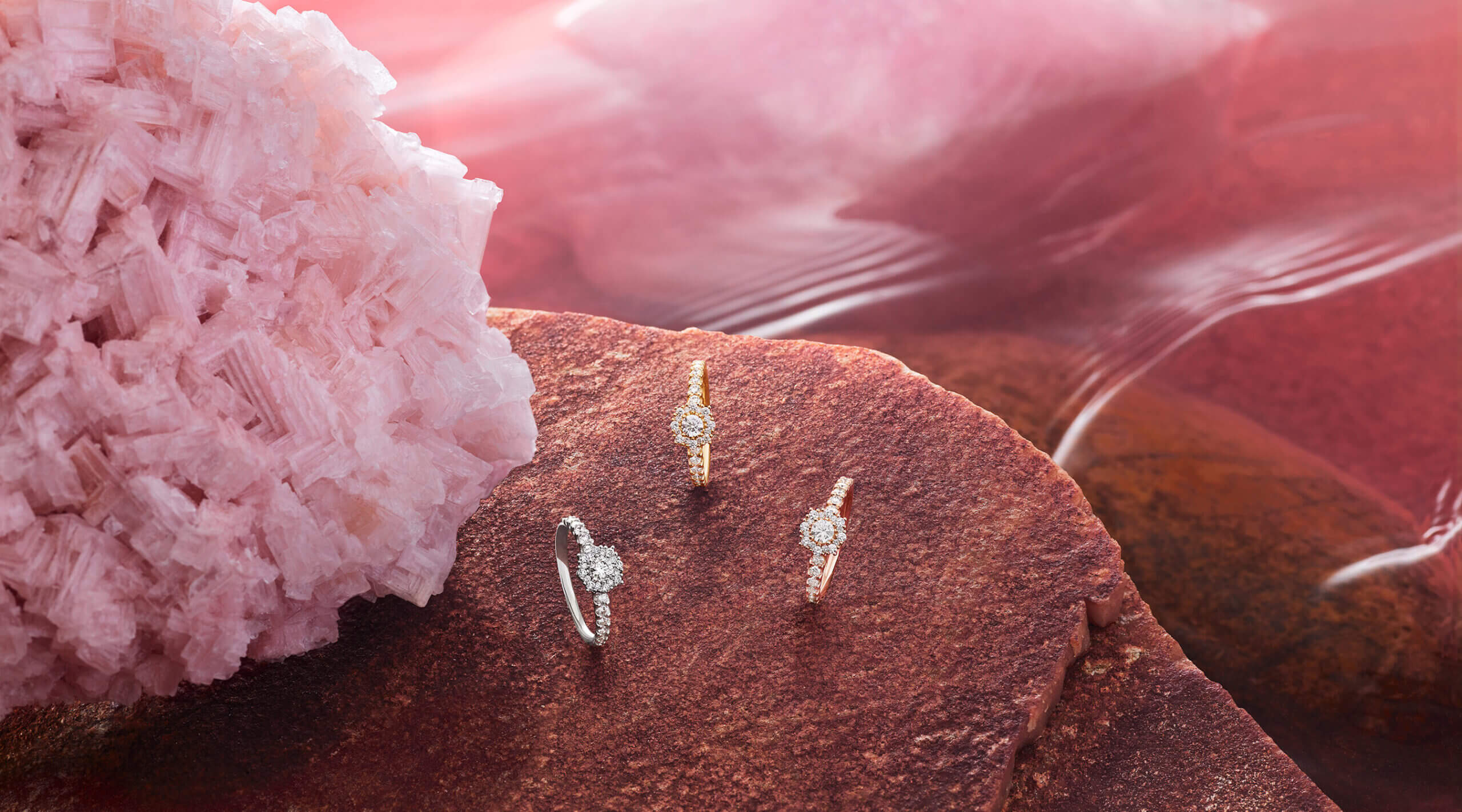 Parasol Island - Integrated Digital Studio