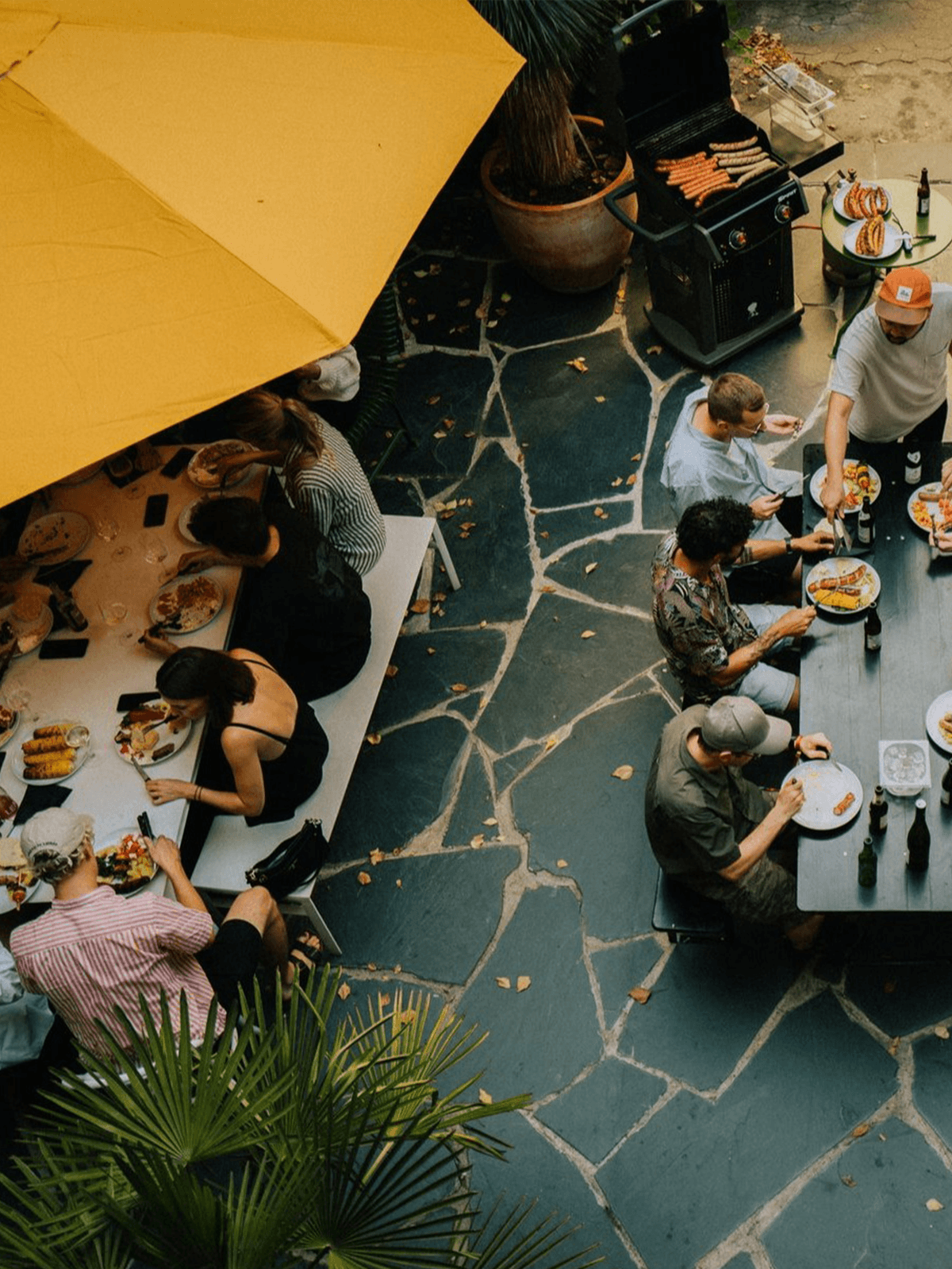 Parasol Island - Digital